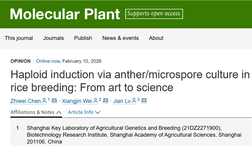 图形用户界面, 文本, 应用程序, 电子邮件

AI 生成的内容可能不正确。