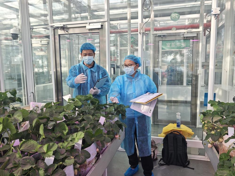 56c4f90a29e6fd504a451443a09ce3db