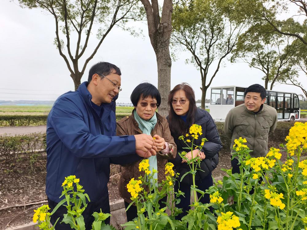 0b0d55fd7d47fecf9c06e28df02d51dc