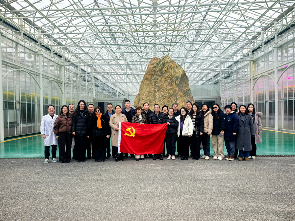 26b27acdc7c9c745a8c467da4747ed9c