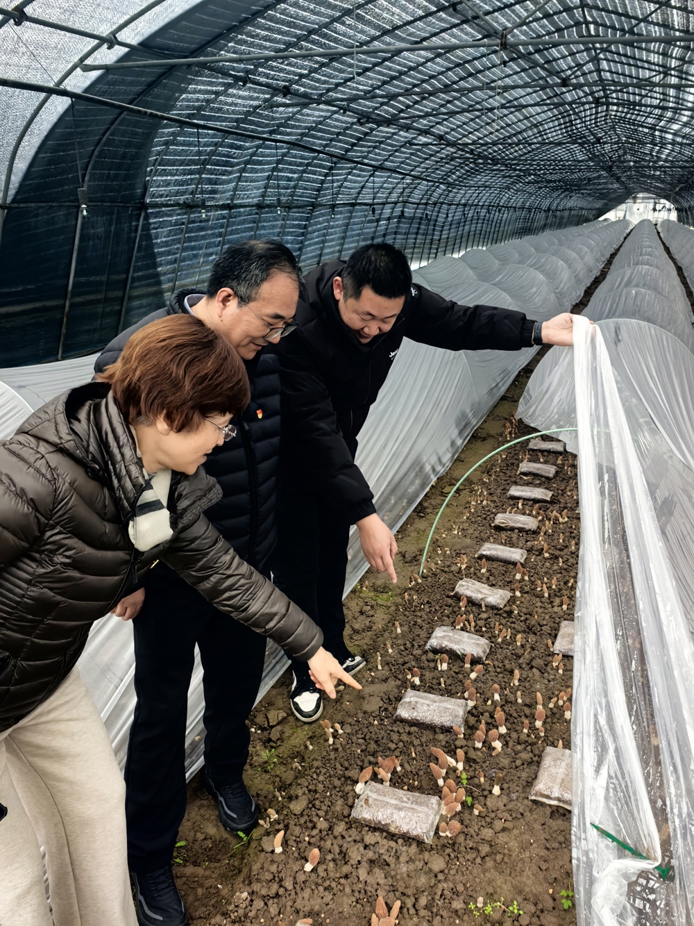 be66df1224073cfb2b41264d411694ae