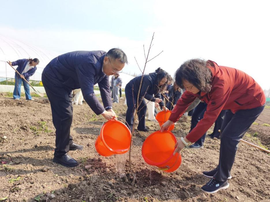 c619c72e54bbb6bc1d203ceaf6ba7a3c