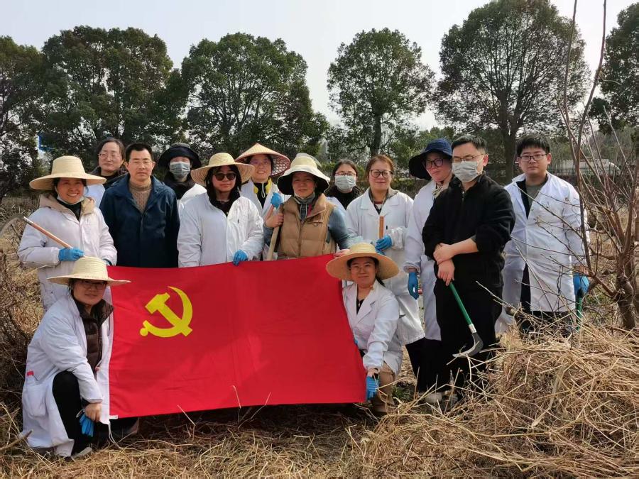 090c2bdc859afdcd0a73a5da20ac8d4a