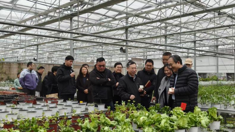 04ee976b3473c33eddbf88d5e5553a2a