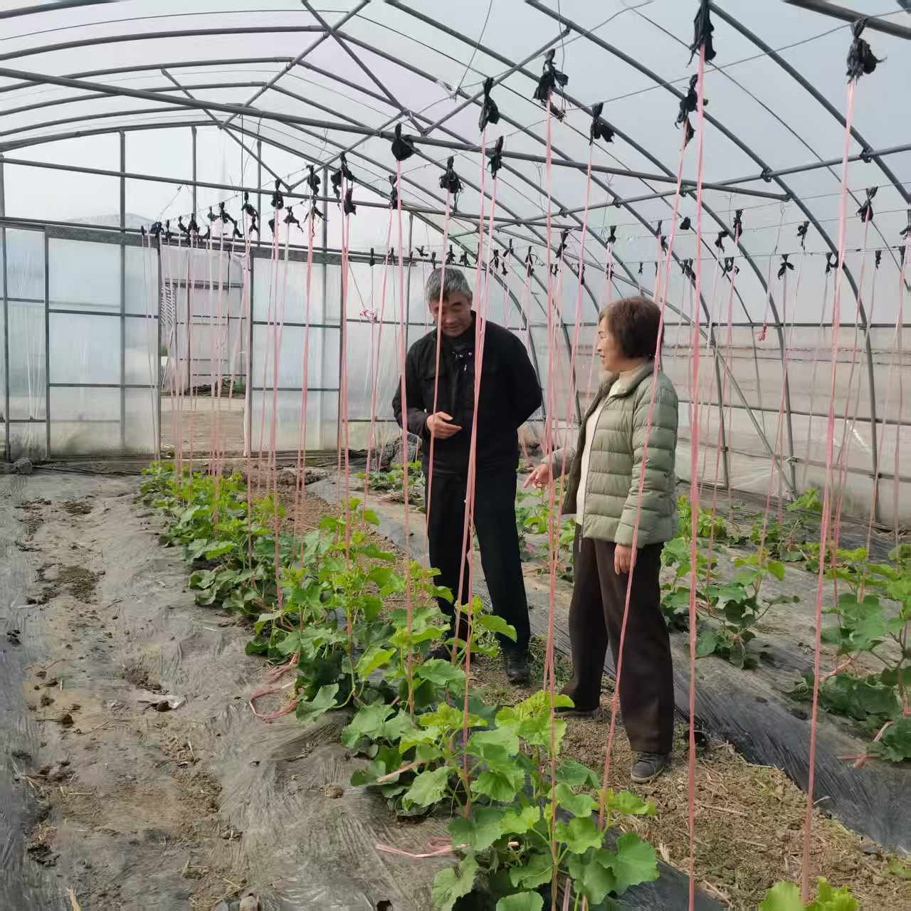 微信图片_20260326083920_49_23