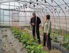 【先行区共建】西甜瓜创新团队赴金山区开展春季甜瓜栽培技术指导