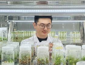 生物所-王宇（2026-2027年度助跑计划培养人选）