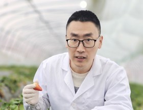 作物所-柳洪入（2026-2028年度攀高计划培养人选）