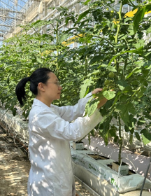 园艺所-张咏雪（2026-2027年度助跑计划培养人选）