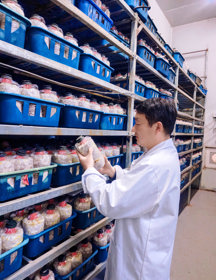 食用菌所-郝海波（2026-2027年度助跑计划培养人选）