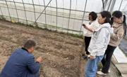 【先行区共建】林果所科技人员赴金山、闵行开展赏食百合春季栽培技术指导