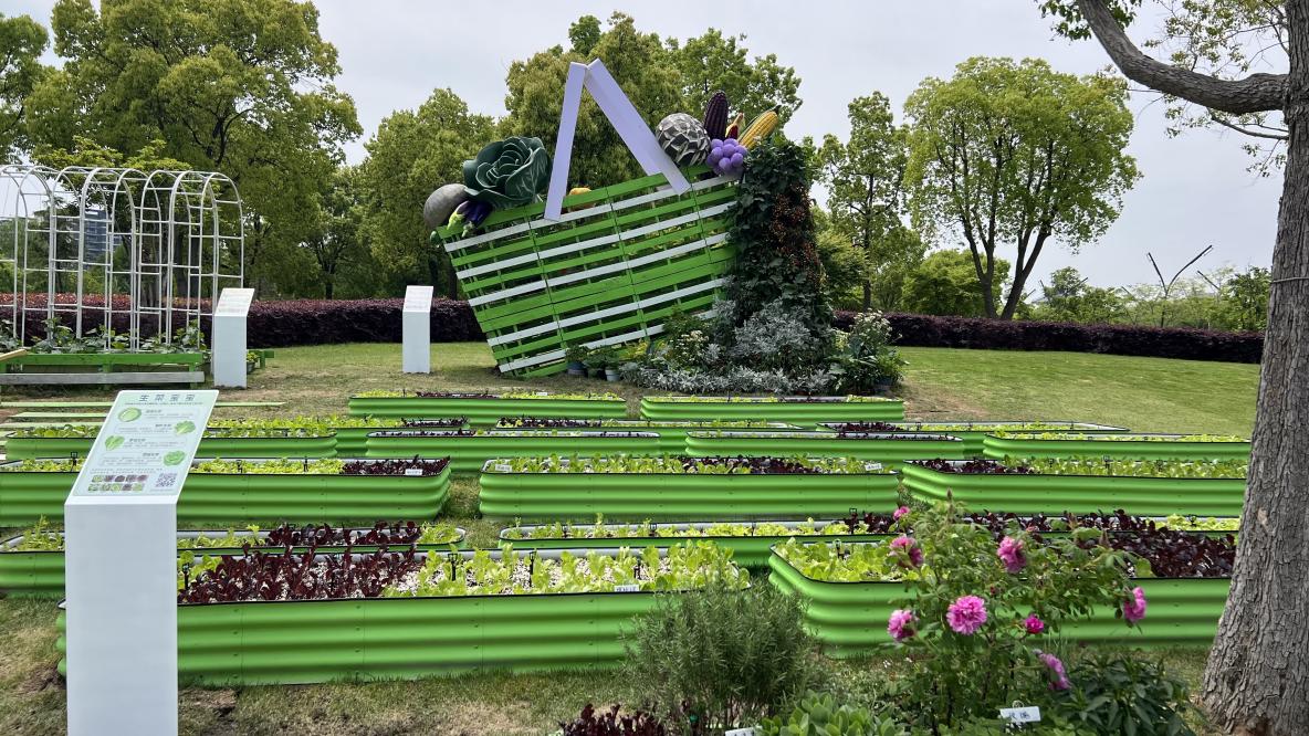 建成的“菜篮子”展园一隅