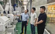 【先行区共建】我院作物所科技人员赴金山盛致开展稻米加工产业调研活动