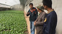 我院科技人员赴青海考察国内科技合作项目实施情况