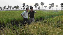 农业部农技中心专家来生态所杂草室指导工作