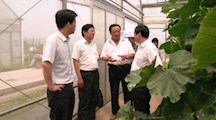 市科委社发处俞清副处长视察我院崇明科技示范基地