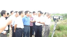 沈晓明副市长视察我院瀛东村科研项目基地