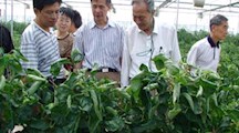 中科院沈允钢院士一行考察我院土壤盐碱改良示范基地