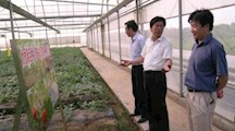 生态所领导赴崇明科技示范基地调研