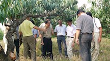上海市重大科技攻关项目“村域生态农业发展关键技术集成与示范”