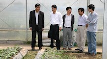 顾晓君副院长等视察我院《瀛东村生态农业关键技术研究与示范》项目基地
