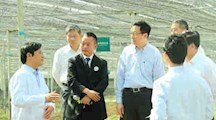 上海市委书记韩正视察我院云南文山州三七试验与科技示范基地