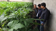 我院生态所科技人员赴青海果洛藏族自治州考察国内科技合作项目实施情况