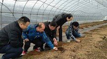 生态所专家赴上海星辉蔬菜有限公司开展生态农业交流与技术指导