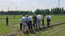生态所杂草研究团队攻克水稻机穴直播除草剂“播喷同步”技术难题