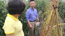 生态所专家为松江新浜蔬菜安全生产作技术培训