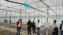 上海农场标准农田培训班学员参观我院农业部实验站和卓越团队庄行实验基地