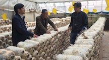 我院生态所吴淑杭团队赴青海果洛藏族自治州指导农业生产的事迹被中央媒体《人民政协报》和《团结报》报道