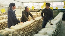 生态所承担的市科委国内科技合作项目顺利通过验收