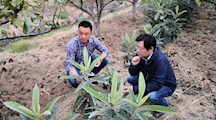 生态所科技人员赴苏州基地推进“水专项”苏州项目研究工作