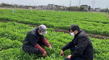 生态所科技人员赴郊区指导农业生产