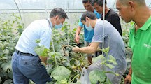 生态所专家深入基地、合作社开展科技服务