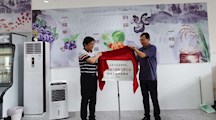 生态所科技人员赴青浦现代农业园区开展乡村振兴科技支撑工作