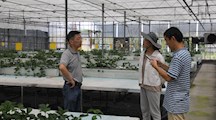 生态所科技人员赴郊区经济作物基地调研与指导