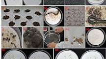 生态所在生态种养共作模式生物控草研究方面取得重要进展