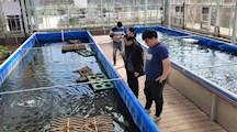 生态所科技人员赴奉贤庄行开展技术指导工作
