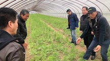 我院生态所科技人员赴崇明新安村开展乡村振兴技术服务