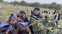 我院生态所科技人员赴奉贤区北新村开展乡村振兴服务工作