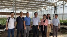 “设施蔬菜优质丰产水肥高效运筹技术研究与示范”项目中期现场会顺利召开