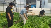 我院生态所科技人员赴金山区开展乡村振兴科技支撑服务