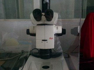 带显微镜操作系统解剖镜和显微镜