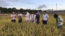 国际氮素协会东亚中心主任等专家来我院交流低碳农业研究
