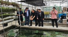 “黄鳝之都”仙桃市张沟镇镇委书记一行来我院开展黄鳝养殖产业发展交流与合作