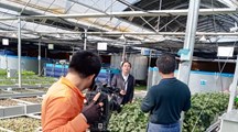 我院生态所科技人员接受央视采访