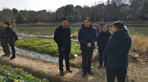 院科技兴农办和生态所科技人员赴青浦开展基地考察和技术指导