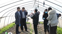 生态所专家赴郊区基地调研并指导蔬菜菌核病防控